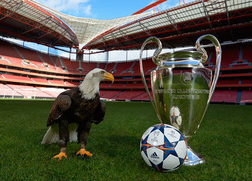 俱乐部杯不打！广东新援赛季没开始就遭遇伤病 错过比赛磨合机会